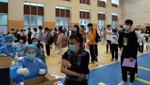 大狗哈弗爆料视频最新消息,揭秘全新车型及性能亮点  第3张