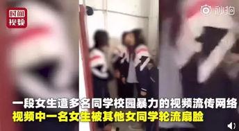 校园女生爆料视频在线观看,揭秘校园生活幕后真相 第1张 校园女生爆料视频在线观看,揭秘校园生活幕后真相 第1张